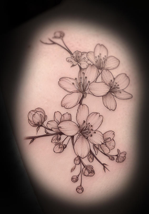 cherry-blossom-tattoo-kaitlyn-mcknight-knoxville.jpg