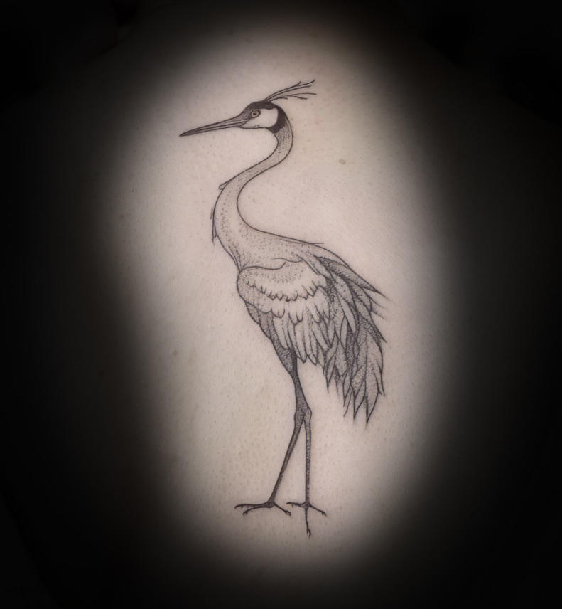 crane-bird-tattoo-kaitlyn-mcknight-knoxville.jpg