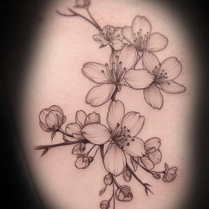 cherry-blossom-tattoo-kaitlyn-mcknight-knoxville.jpg