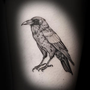 raven-crow-tattoo-kaitlyn-mcknight-knoxville.jpg