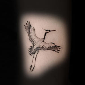 simple-crane-bird-tattoo-kaitlyn-mcknight-knoxville.jpg