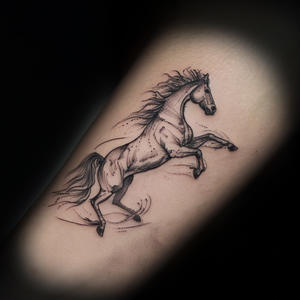 simple-cute-horse-tattoo-kaitlyn-mcknight-knoxville.jpg